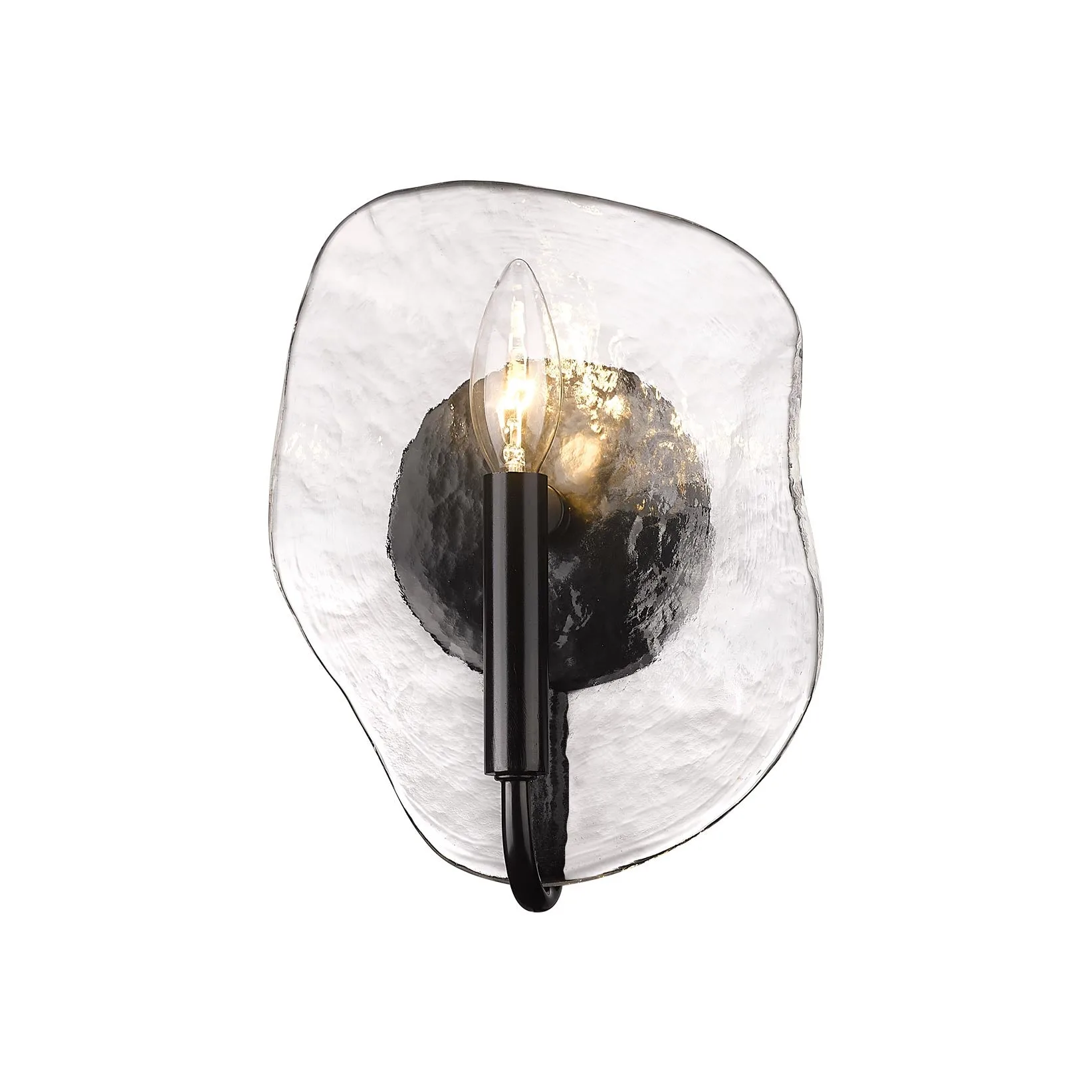 Golden Lighting Samara 1-Light Wall Sconce in Matte Black