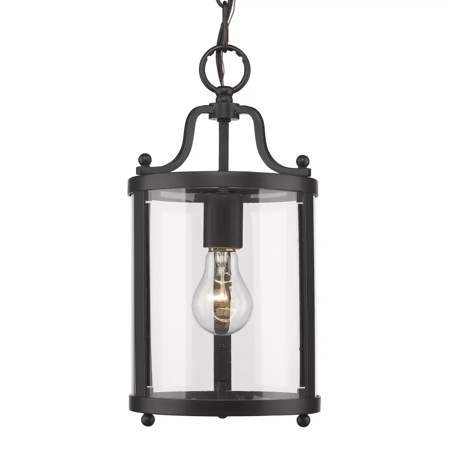 Golden Lighting Payton 1-Light Pendant in Matte Black - Image 1
