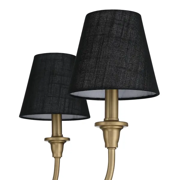 Cambria 6-Light Chandelier in Brushed Champagne Brass - Image 7