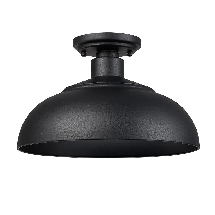 Levitt 1-Light Outdoor Ceiling Light in Natural Black - Image 1