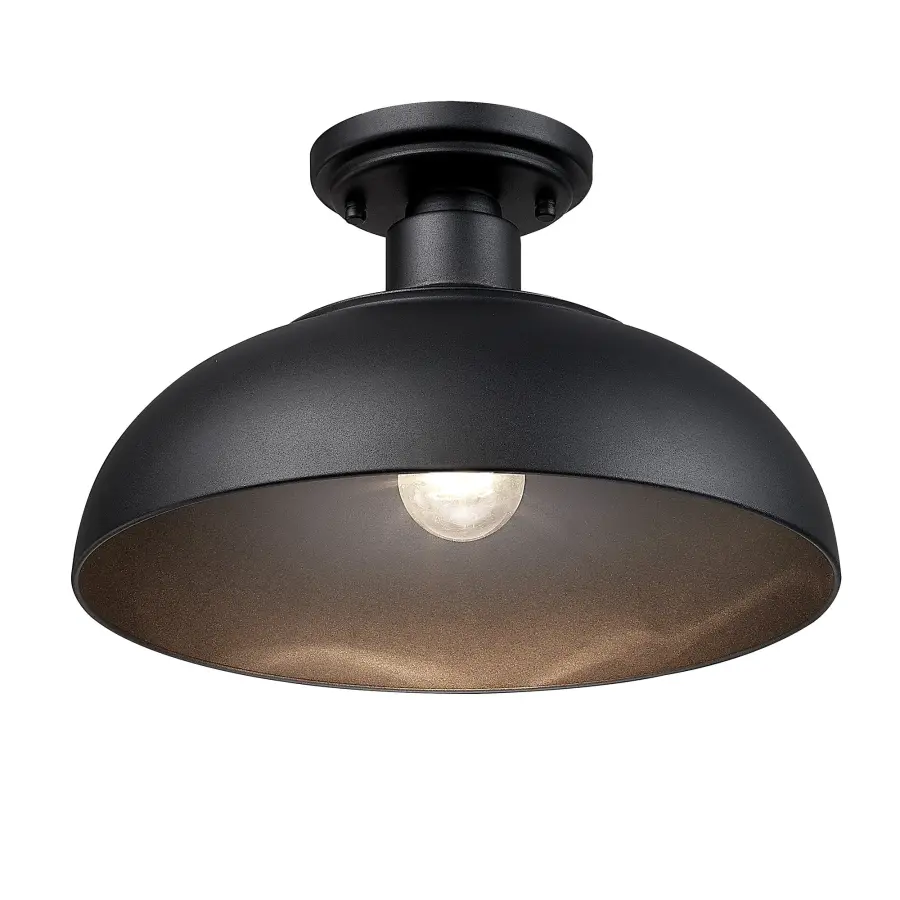 Levitt 1-Light Outdoor Ceiling Light in Natural Black - Image 2