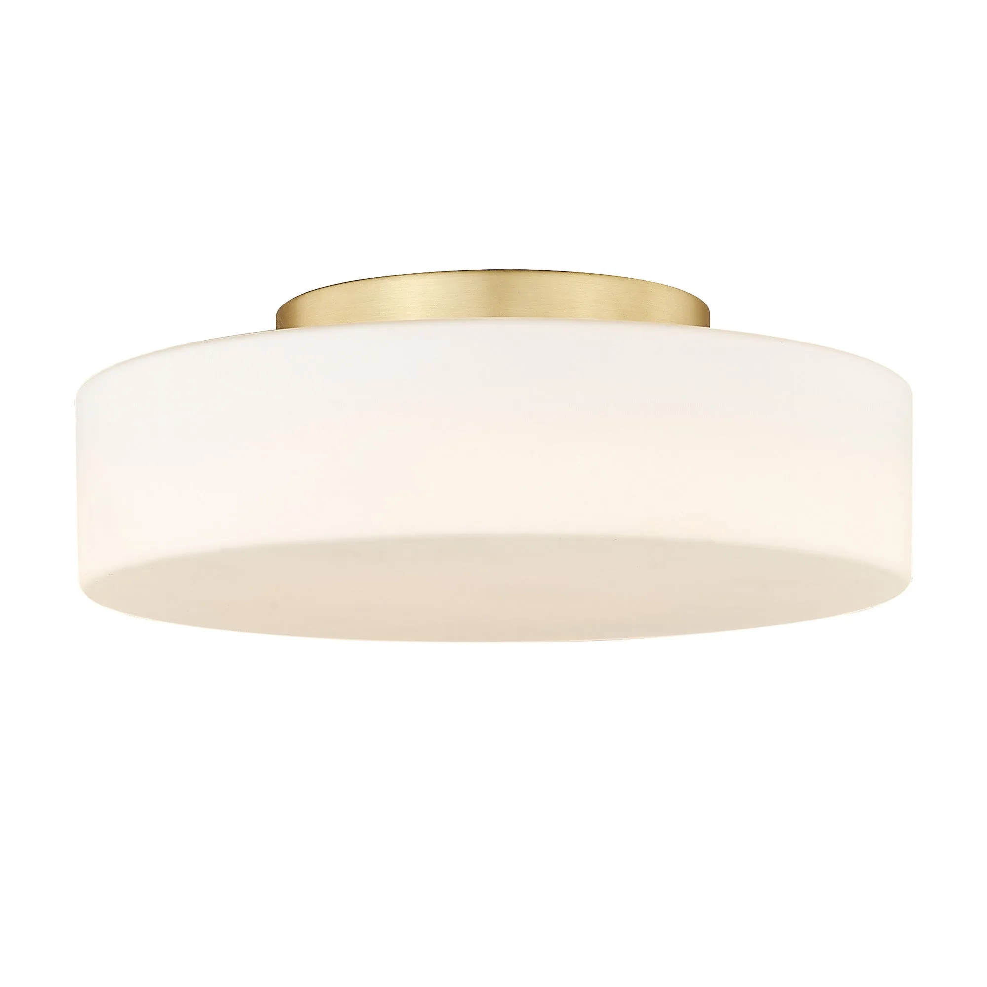 Toli Integrated LED Flush Mount in Brushed Champagne Brass