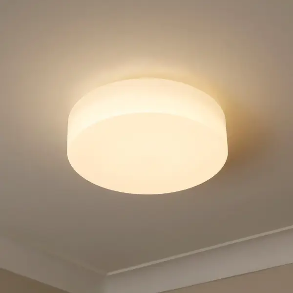 The Flush Mount by Golden Lighting - Image 4