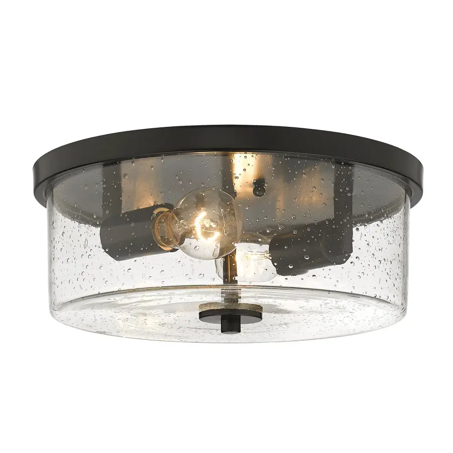 Rayne Two Light Flush Mount in Matte Black - Image 1