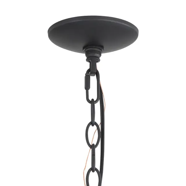 The Pendant by Golden Lighting - Image 9