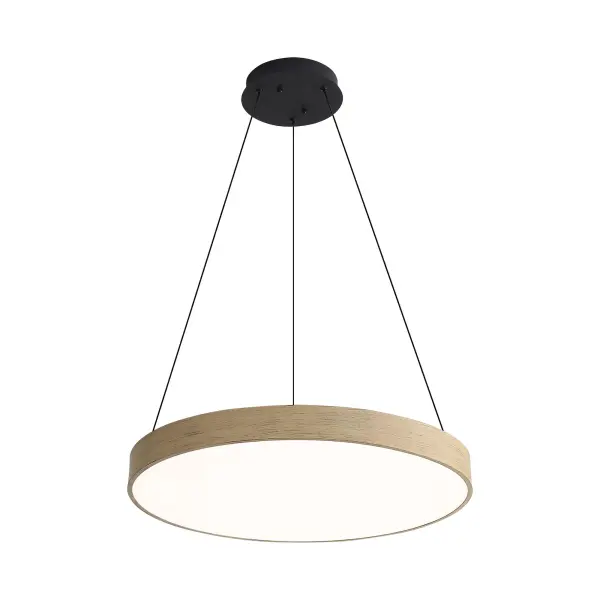 The Pendant by Golden Lighting - Image 1