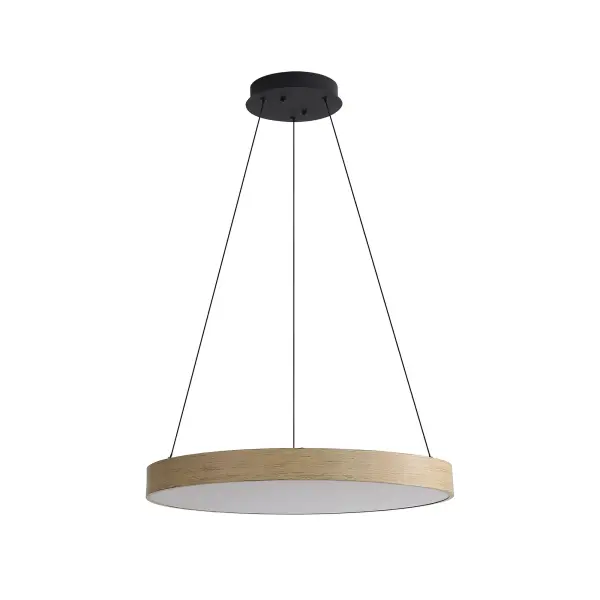 The Pendant by Golden Lighting - Image 2