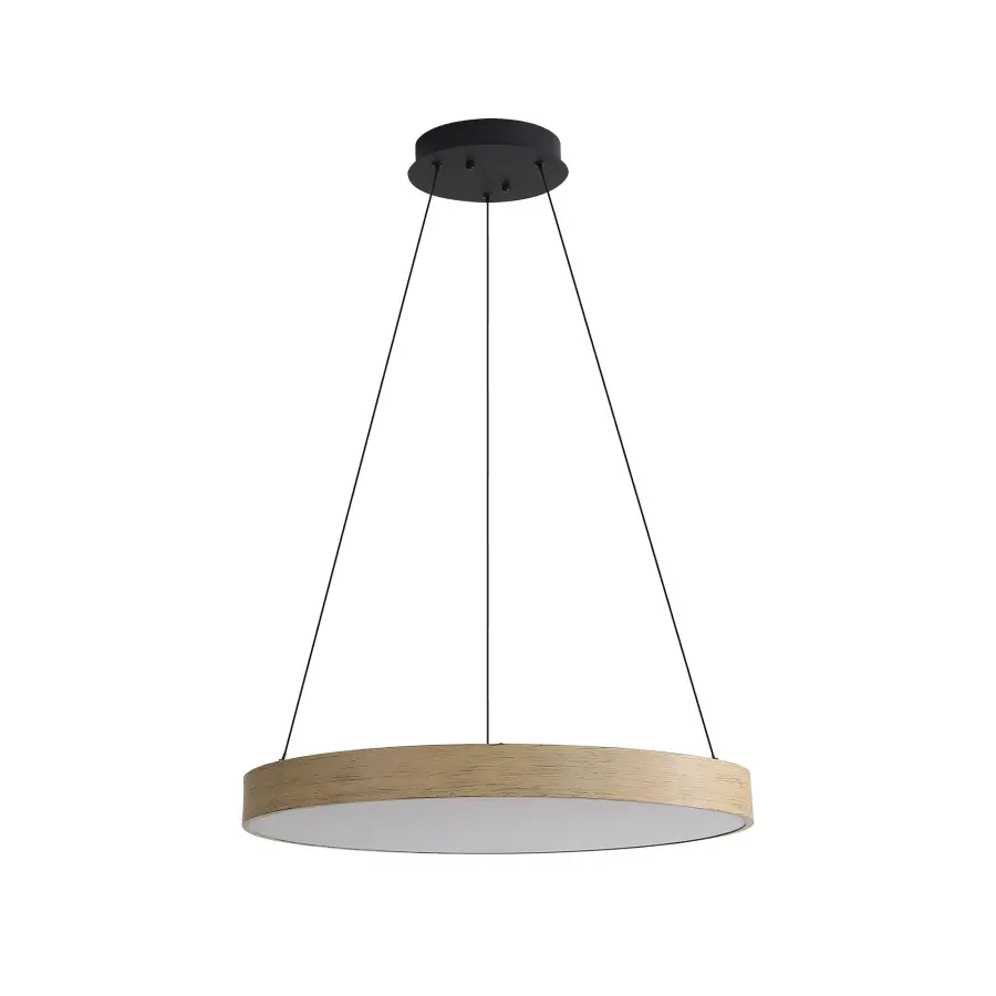 The Pendant by Golden Lighting - Image 2