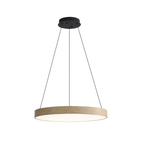 The Pendant by Golden Lighting - Image 3
