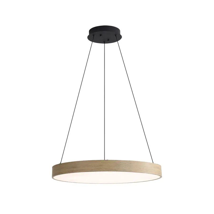 The Pendant by Golden Lighting - Image 3