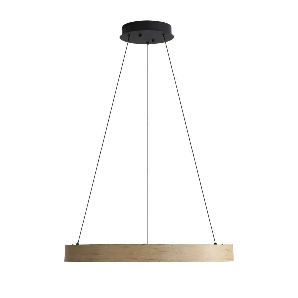 The Pendant by Golden Lighting - Image 5