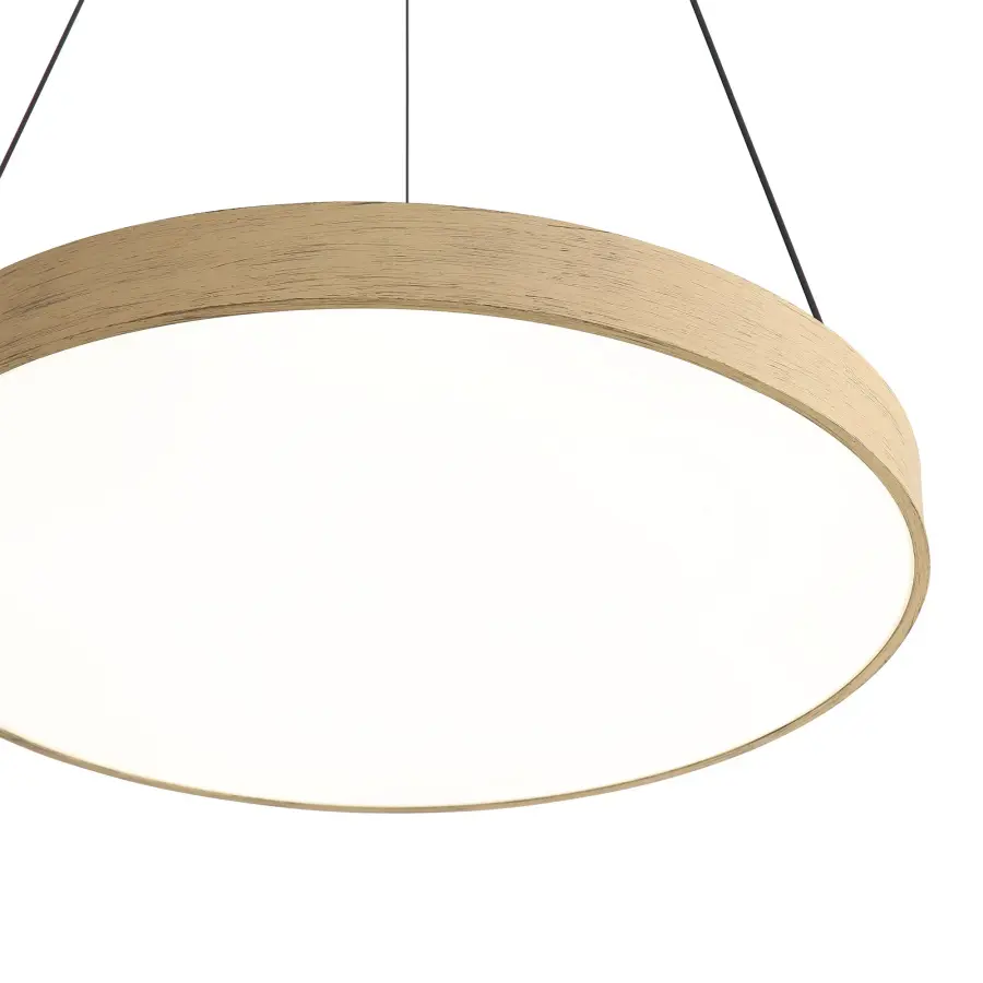 The Pendant by Golden Lighting - Image 8