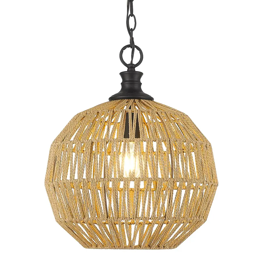 Golden Lighting Florence 1-Light Pendant in Matte Black - Image 1