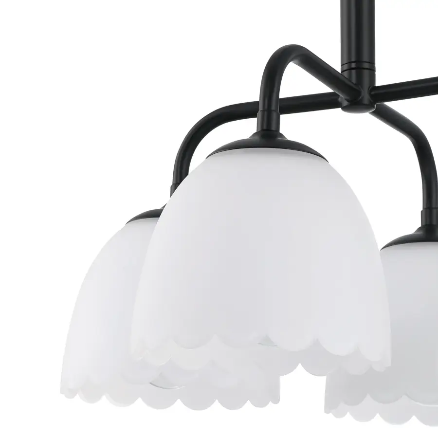 Dorinda Four Light Pendant in Matte Black - Image 6