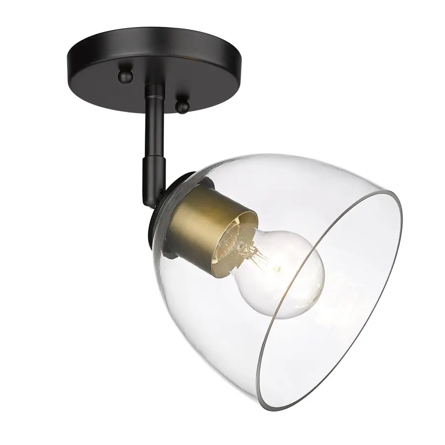 Golden Lighting Roxie 1-Light Semi-Flush Mount in Matte Black and Brushed Champagne Brass - Image 1