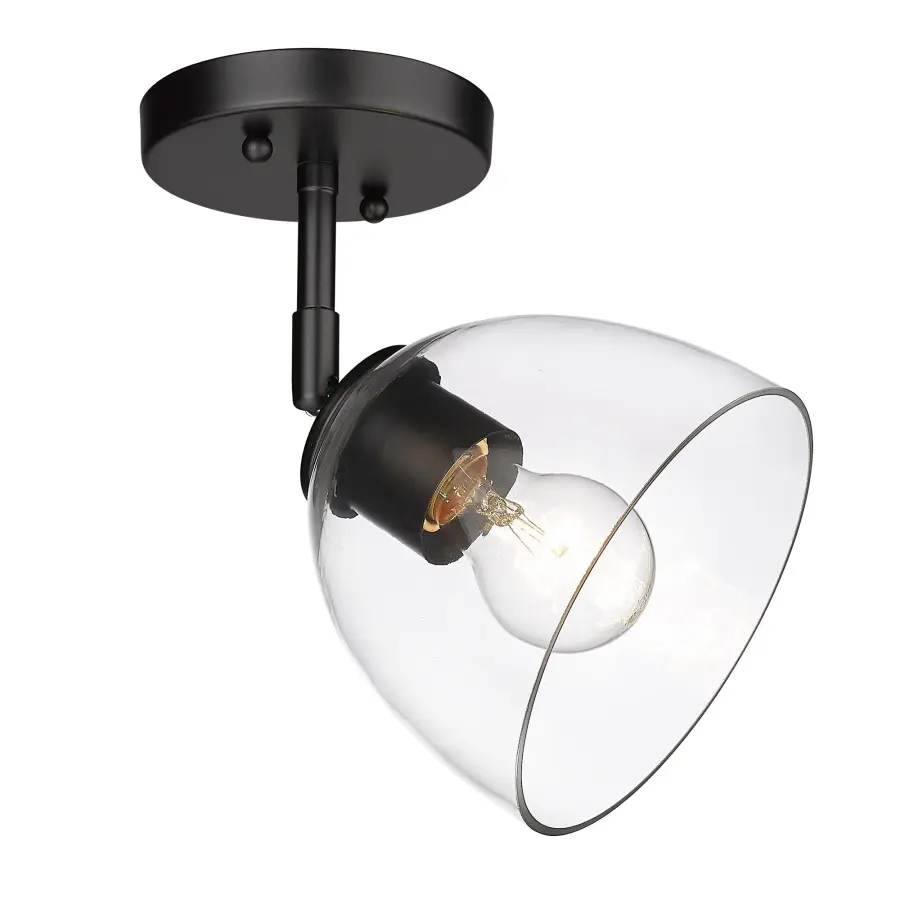 Golden Lighting Roxie 1-Light Semi-Flush Mount in Matte Black - Image 1