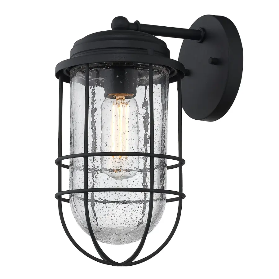 Golden Lighting Seaport 1-Light Outdoor Wall Sconce - Image 1