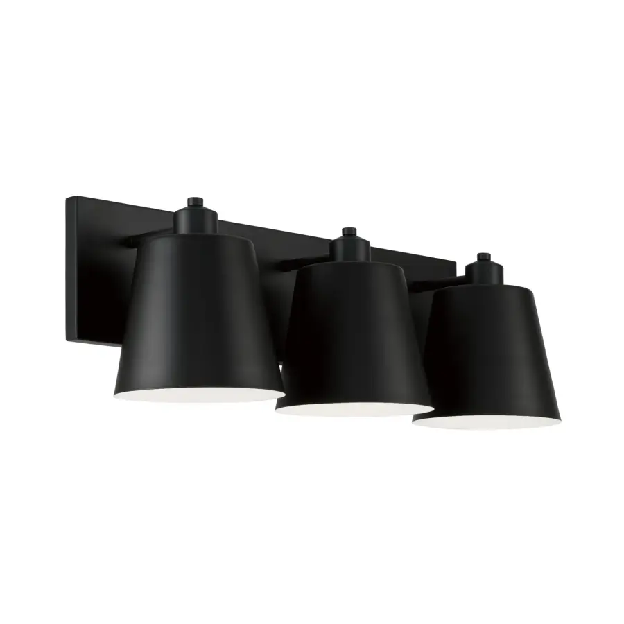 Alden 3-Light Vanity in Matte Black