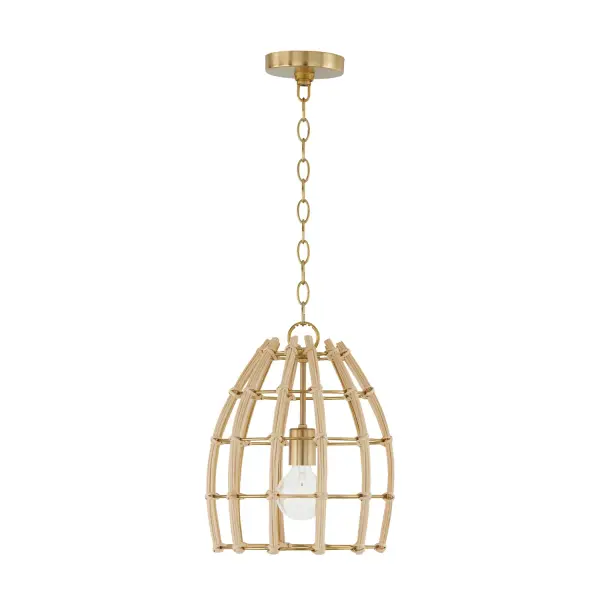 Wren 1-Light Pendant in Matte Brass