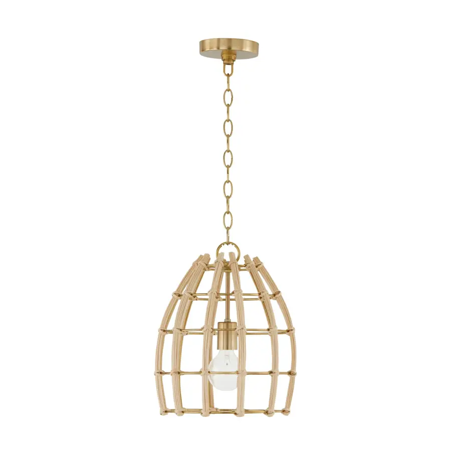 Wren 1-Light Pendant in Matte Brass
