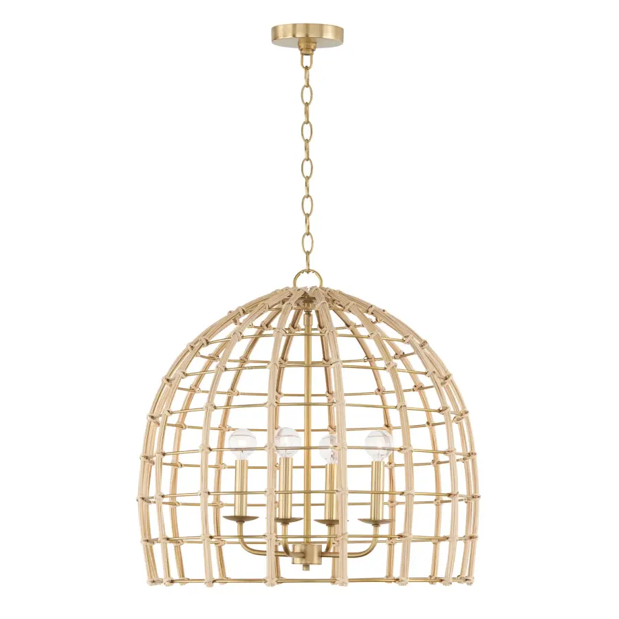 Wren 4-Light Pendant in Matte Brass