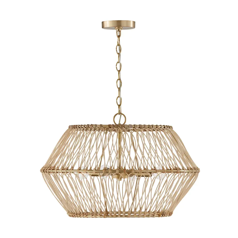 Wren 4-Light Pendant in Matte Brass