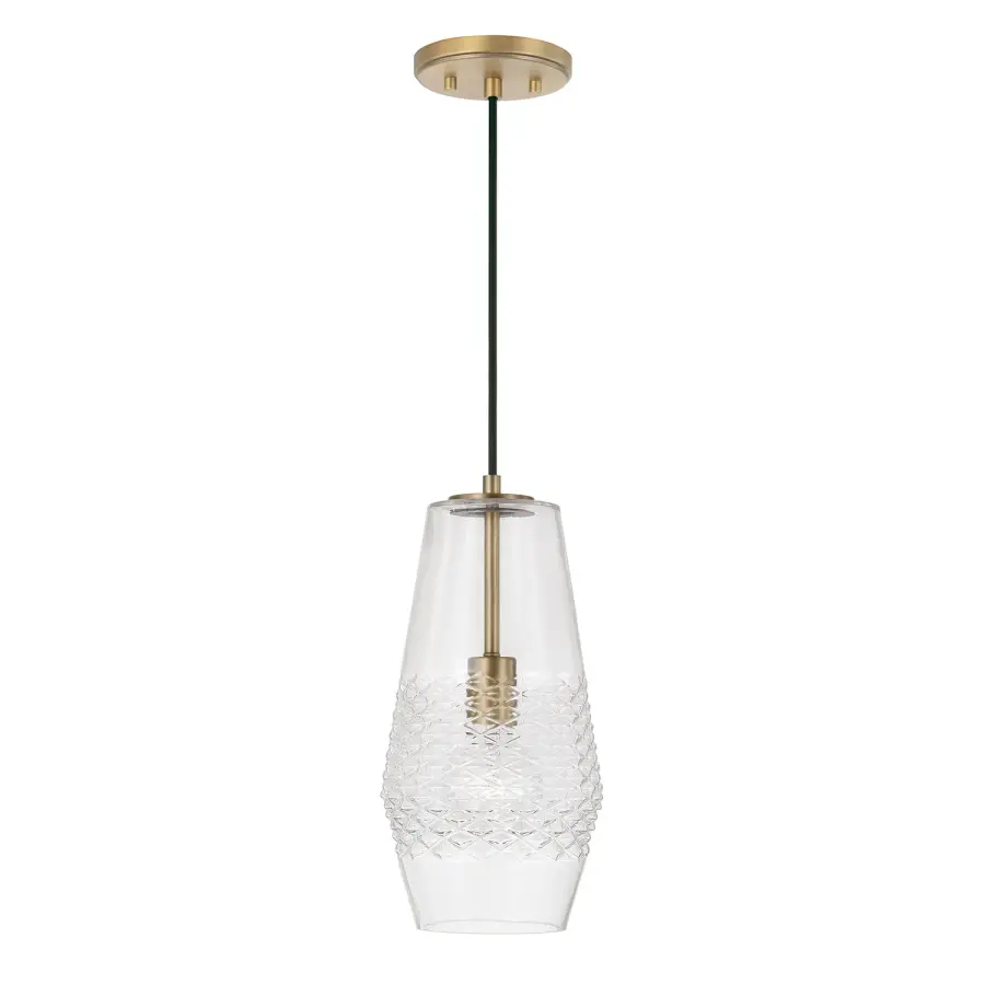 Dena 1-Light Pendant in Aged Brass