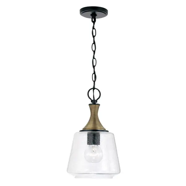 Amara 1-Light Pendant in Matte Black with Brass