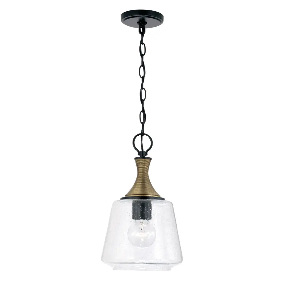 Amara 1-Light Pendant in Matte Black with Brass