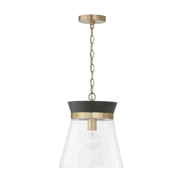 Finn 1-Light Pendant in Black Stain and Matte Brass