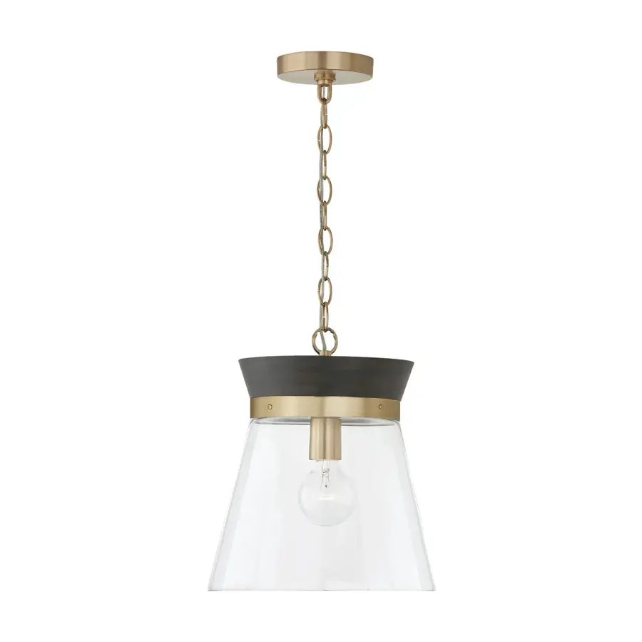 Finn 1-Light Pendant in Black Stain and Matte Brass