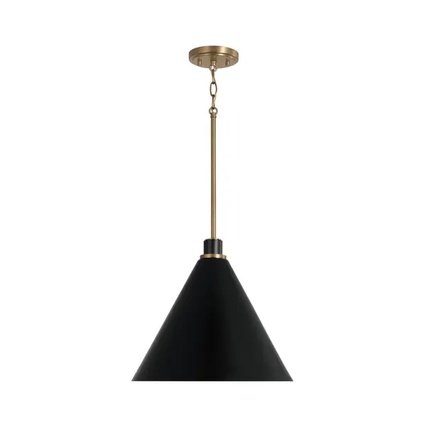 Bradley 1-Light Pendant in Aged Brass and Black