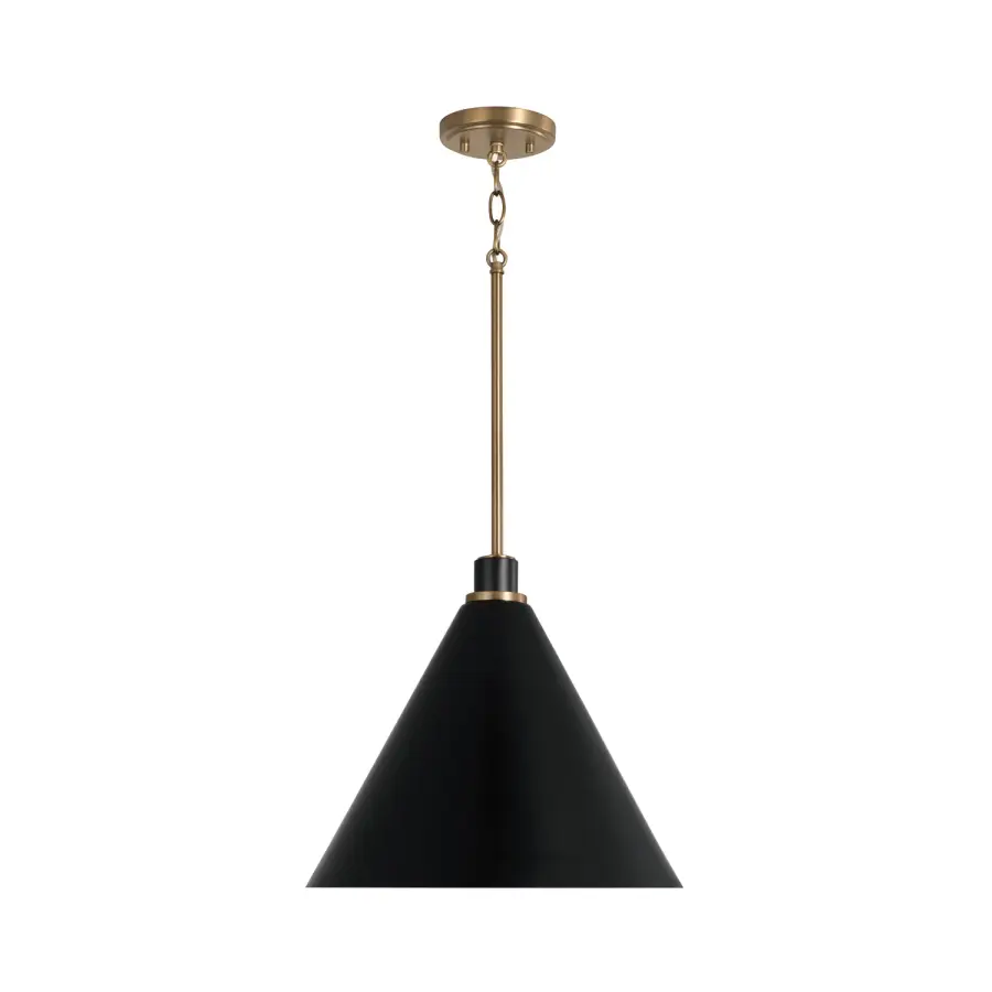 Bradley 1-Light Pendant in Aged Brass and Black