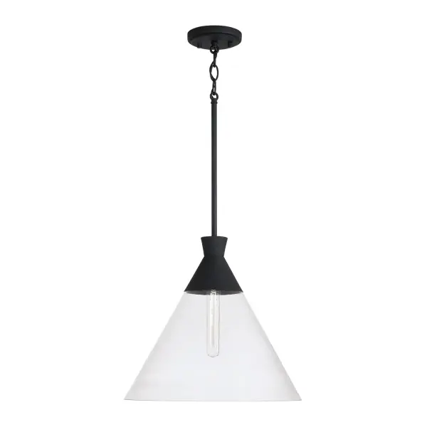 Paloma 1-Light Pendant in Textured Black