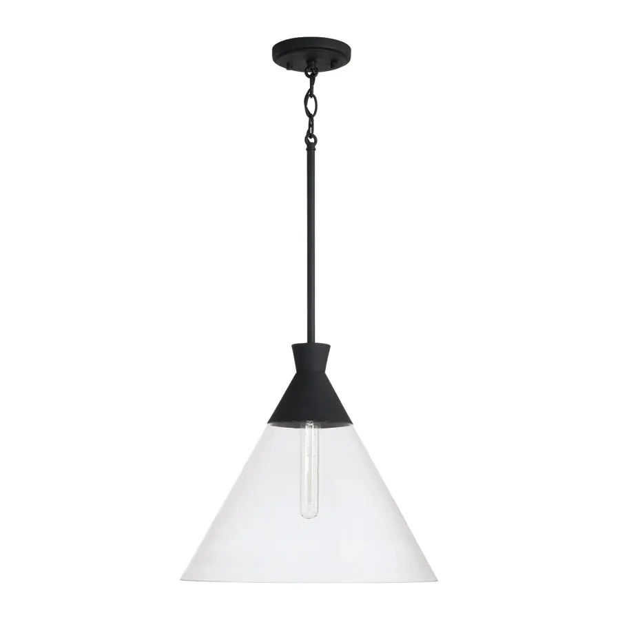 Paloma 1-Light Pendant in Textured Black