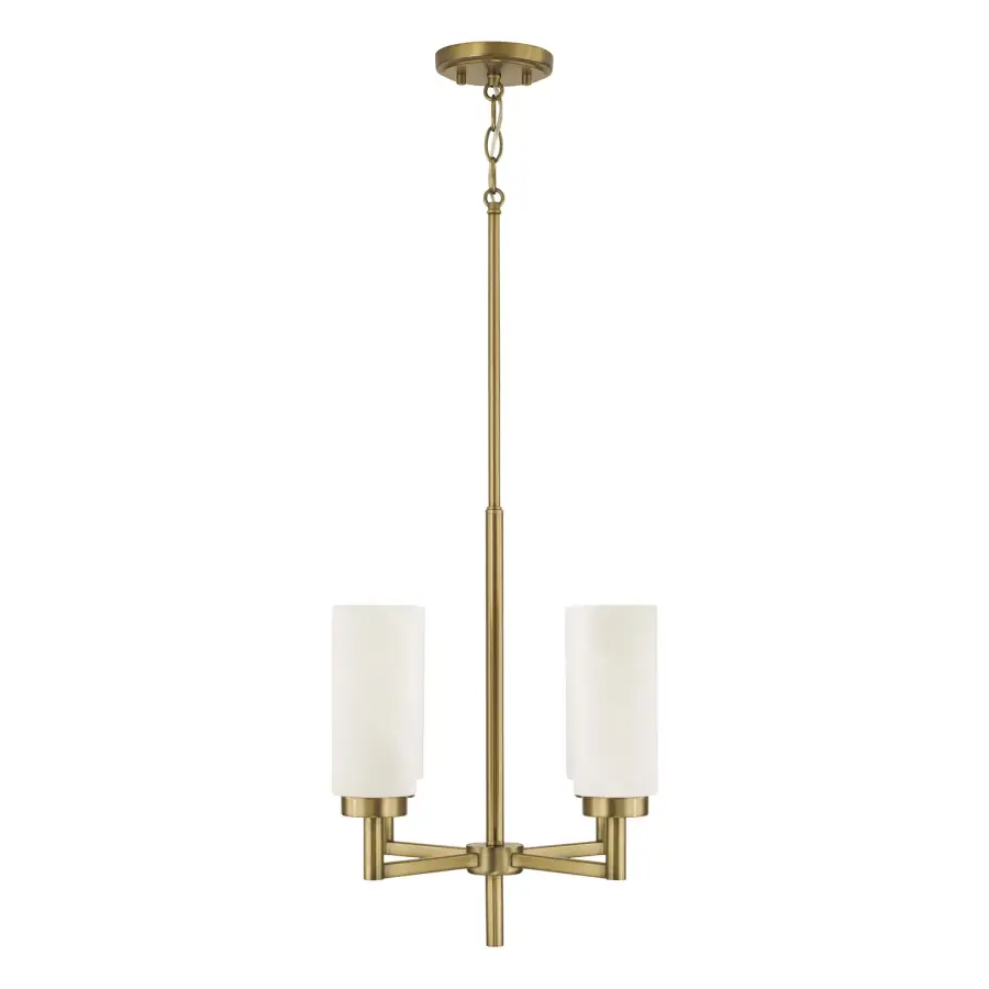 Alyssa 4-Light Pendant in Aged Brass