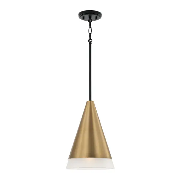Avant 1-Light Pendant in Aged Brass and Black