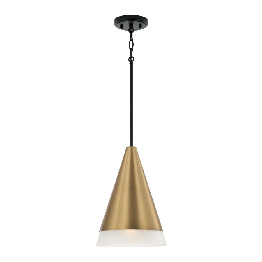 Avant 1-Light Pendant in Aged Brass and Black