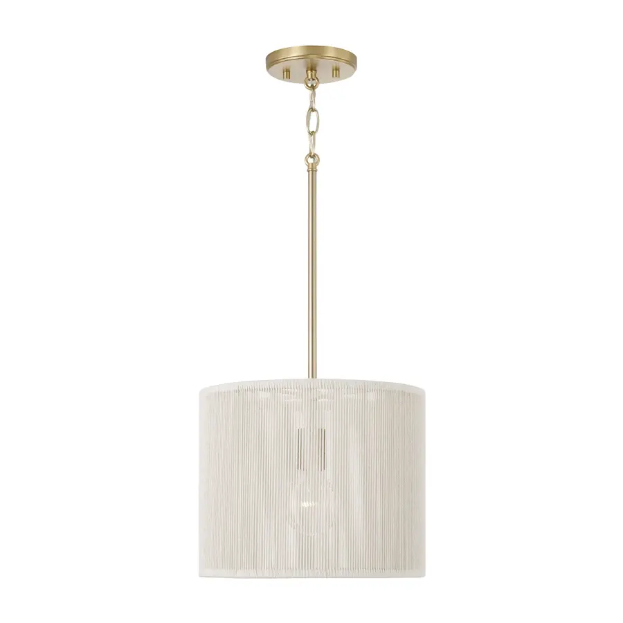 Tara 1-Light Pendant in Matte Brass
