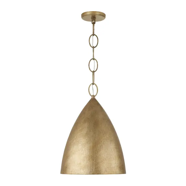 Francesca 1-Light Pendant in Feathered Brass