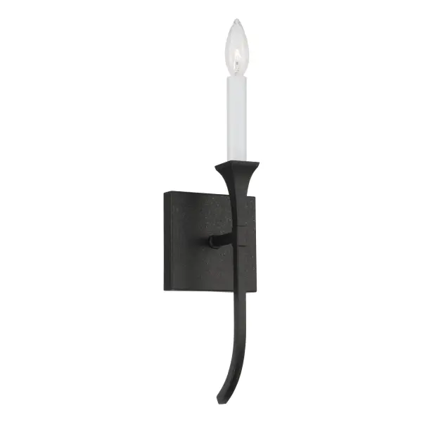 Decklan 1-Light Wall Sconce in Black Iron
