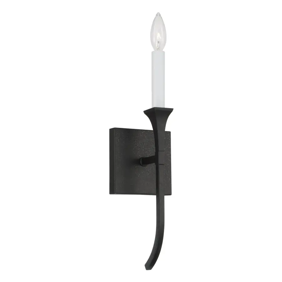Decklan 1-Light Wall Sconce in Black Iron