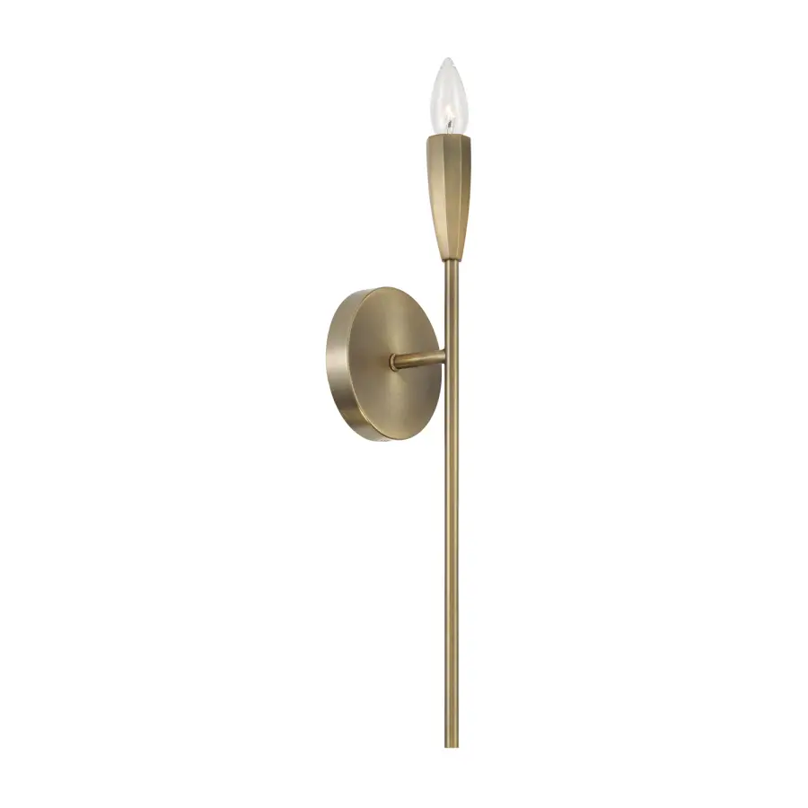 Palmer 1-Light Wall Sconce in Antiqued Brass