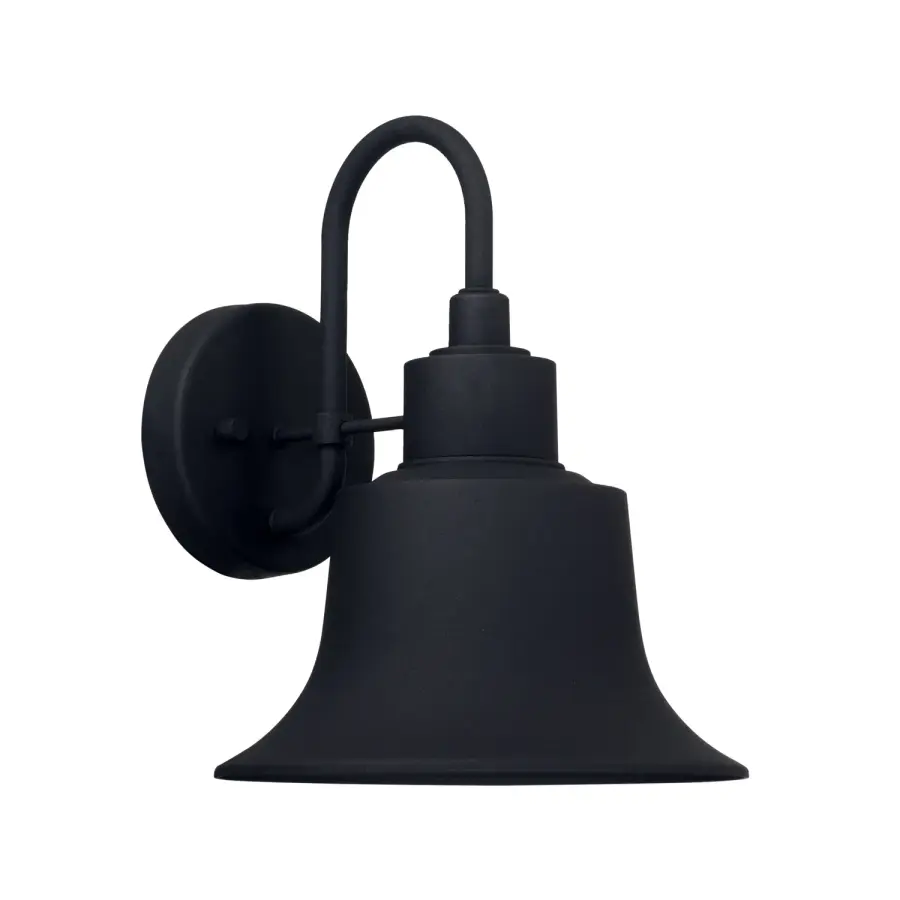 Brock 1-Light Outdoor Wall Lantern in Black