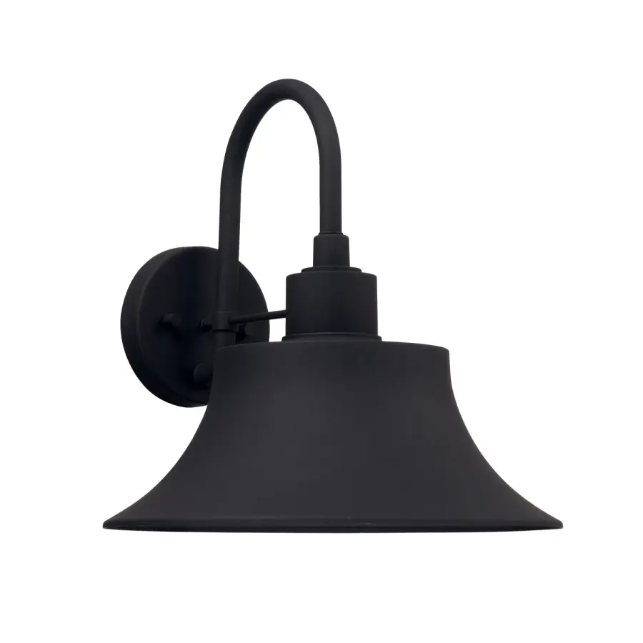 Brock 1-Light Outdoor Wall Lantern in Black