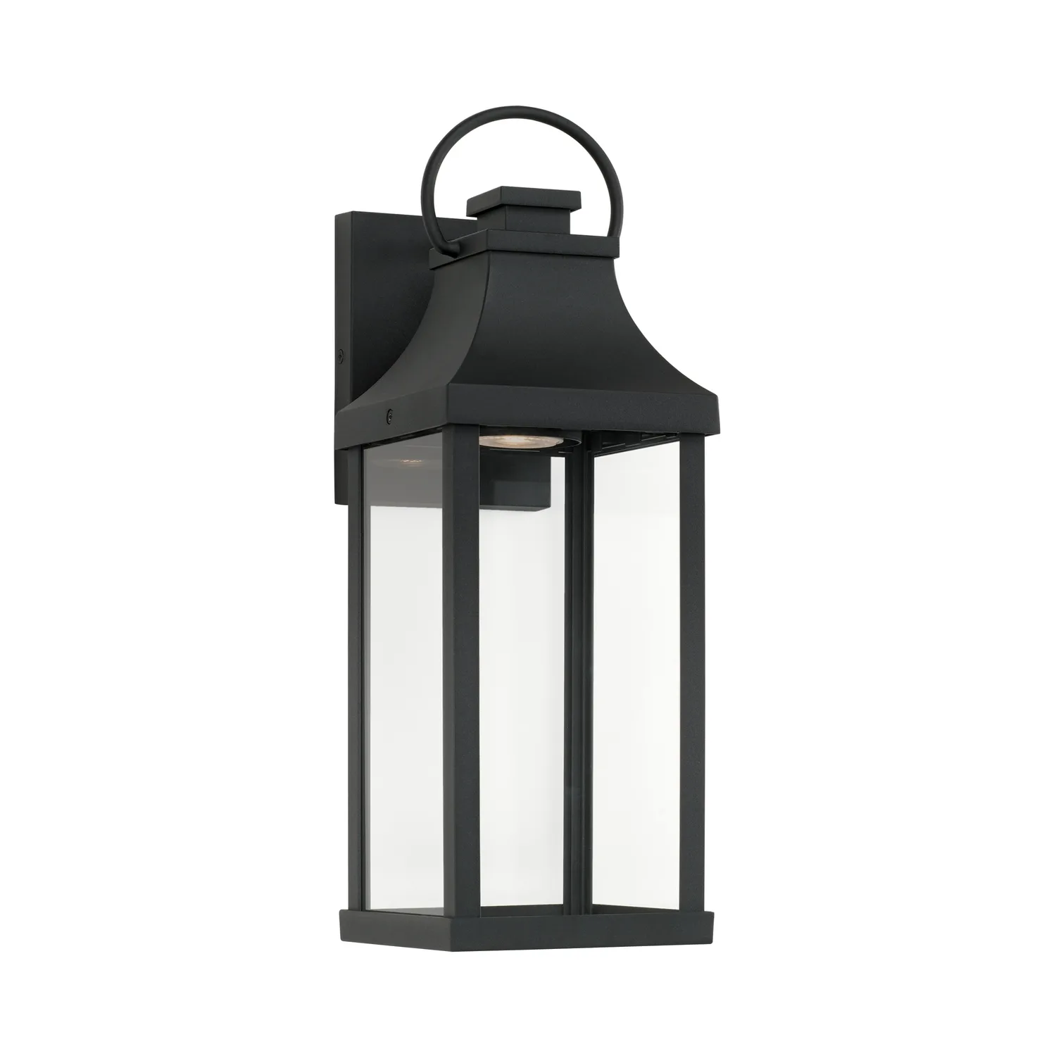 Bradford 1-Light Outdoor Wall Lantern in Black