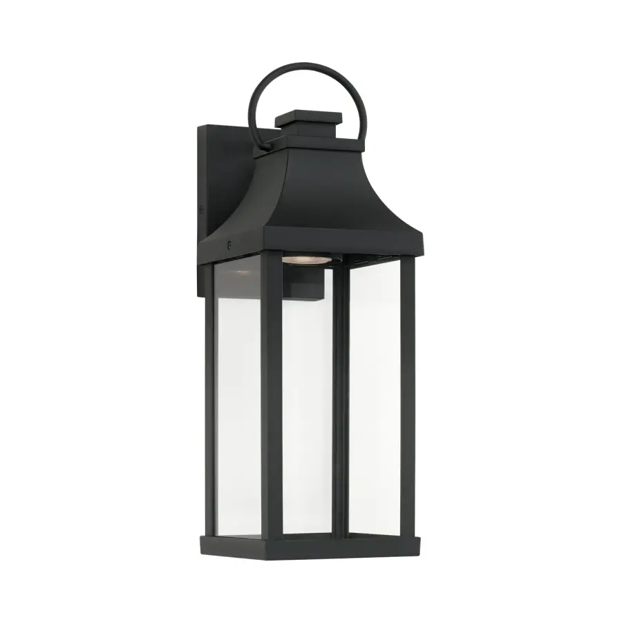 Bradford 1-Light Outdoor Wall Lantern in Black