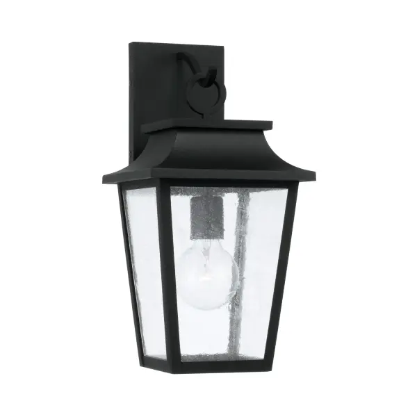 Chandler 1-Light Outdoor Wall Lantern in Black