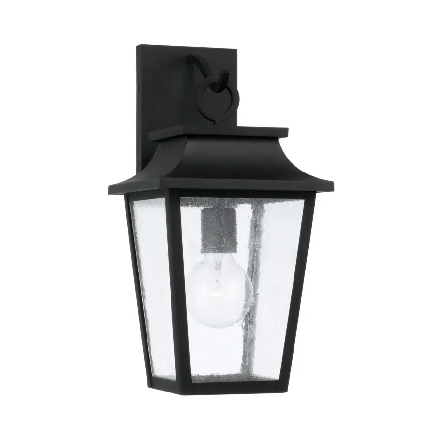 Chandler 1-Light Outdoor Wall Lantern in Black
