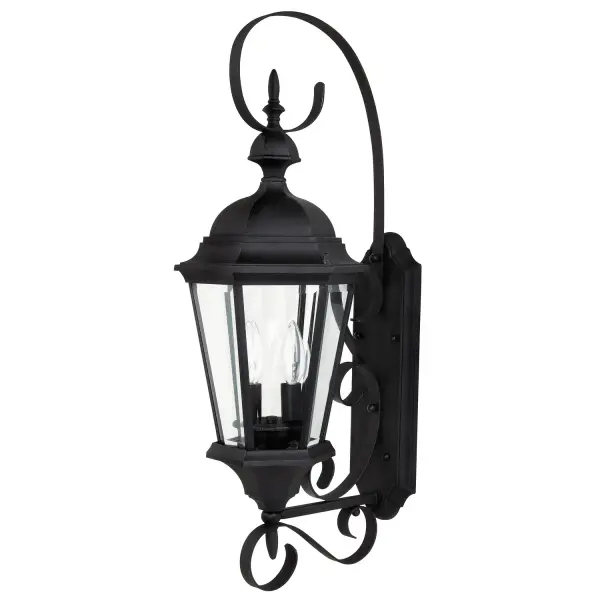 Carriage House 2-Light Outdoor Wall Lantern in Black